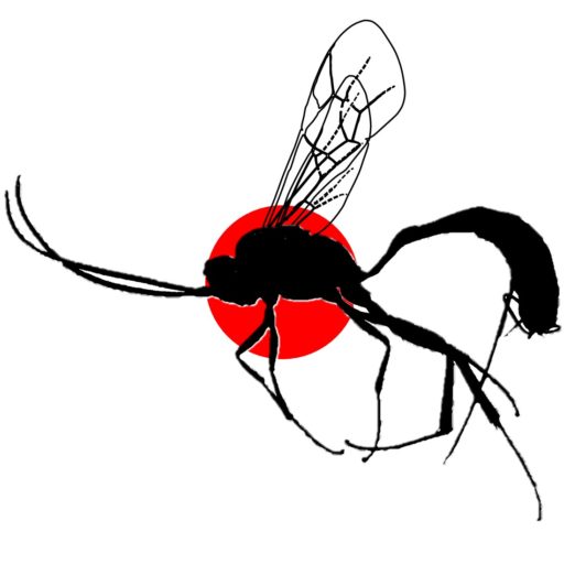 ニッポンのヒメバチ